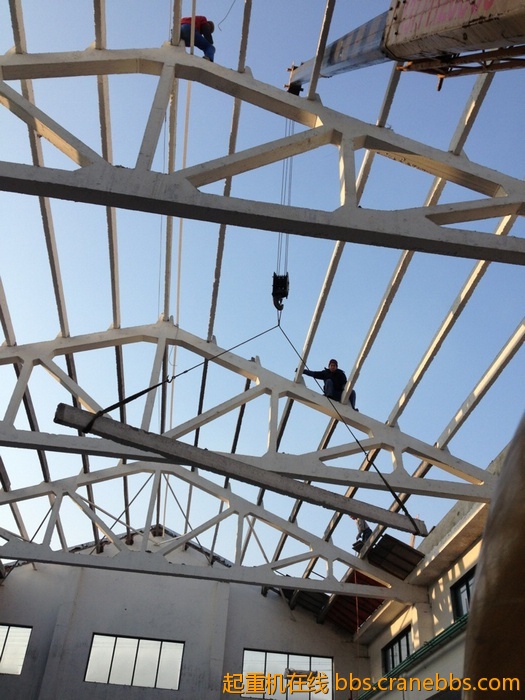 nEO_IMG_毛毛 580.jpg