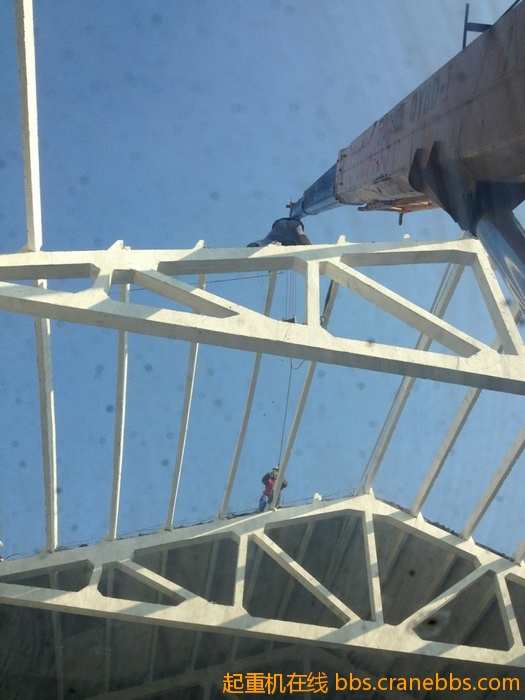 nEO_IMG_毛毛 582.jpg