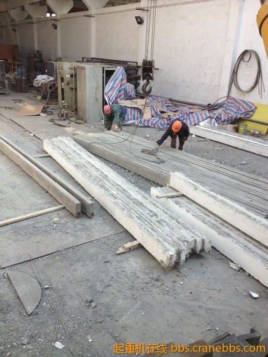 nEO_IMG_毛毛 584.jpg