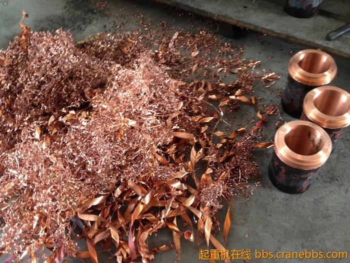 nEO_IMG_毛毛 596.jpg