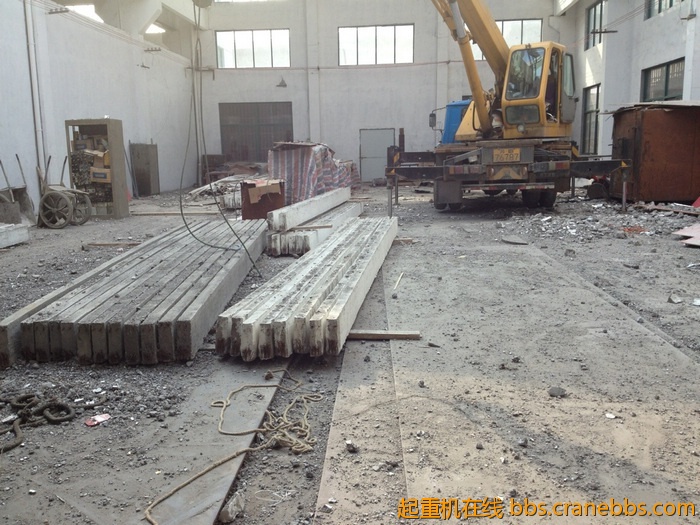 nEO_IMG_毛毛 586.jpg