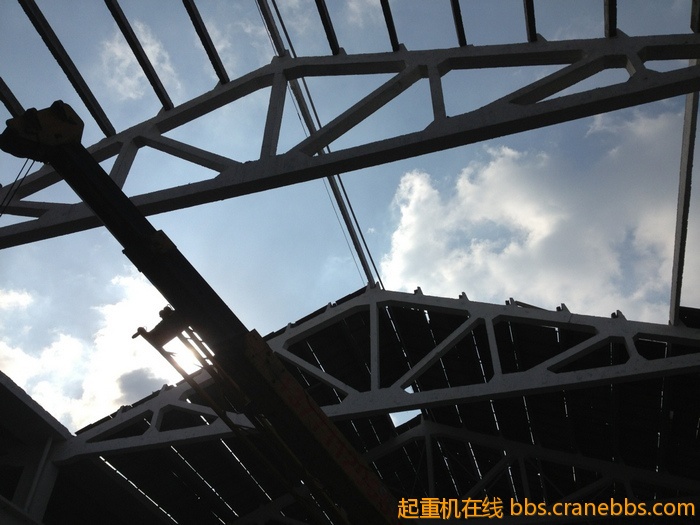 nEO_IMG_毛毛 587.jpg