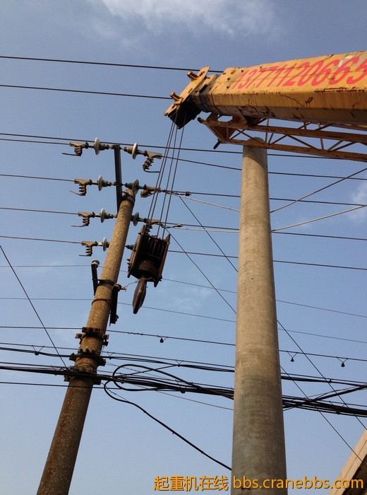 nEO_IMG_毛毛 326.jpg