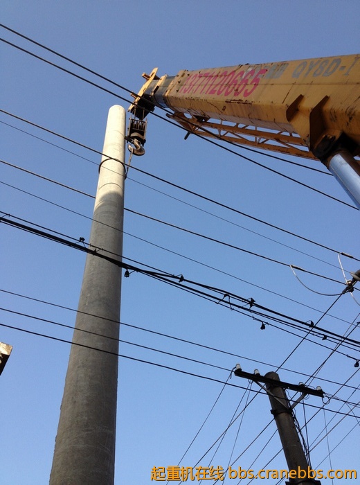 nEO_IMG_毛毛 375.jpg