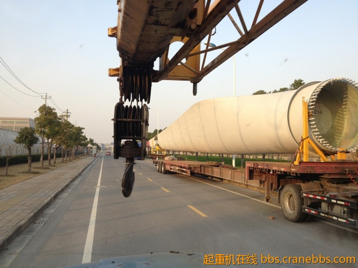 nEO_IMG_毛毛 355.jpg