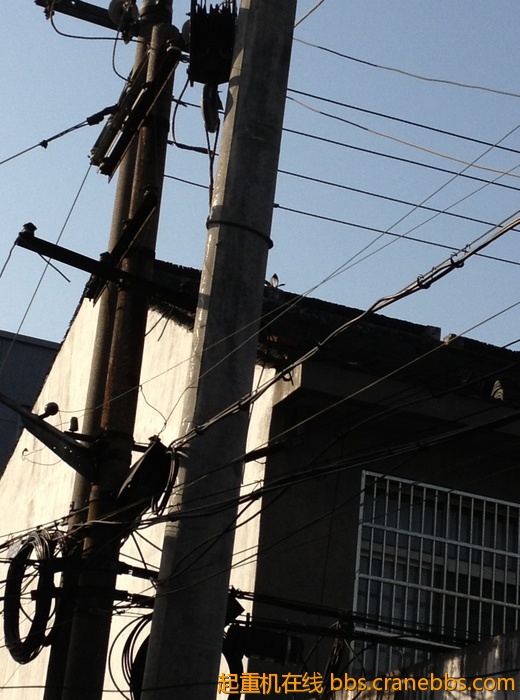 nEO_IMG_毛毛 378.jpg