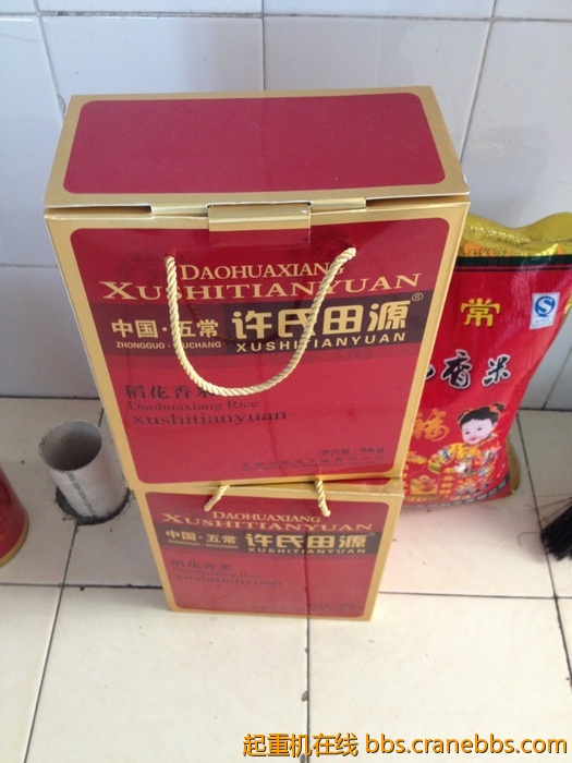 nEO_IMG_毛毛 381.jpg