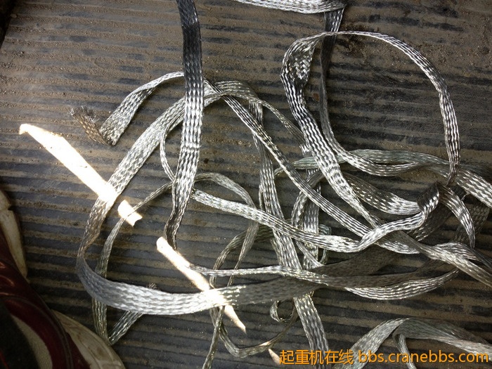 nEO_IMG_毛毛 389.jpg