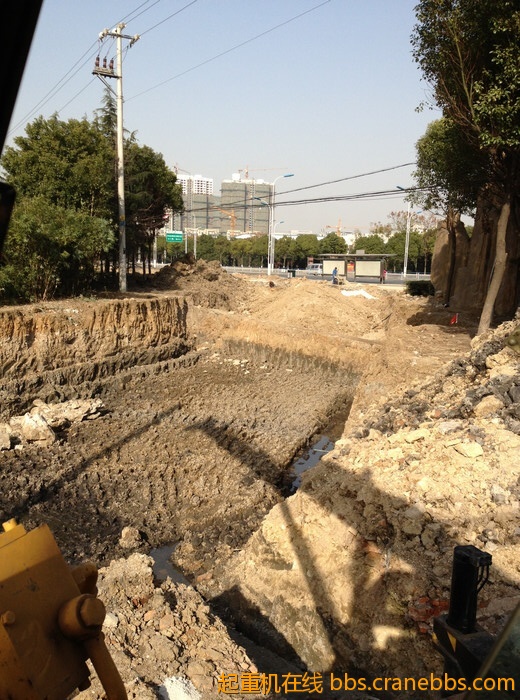 nEO_IMG_毛毛 394.jpg