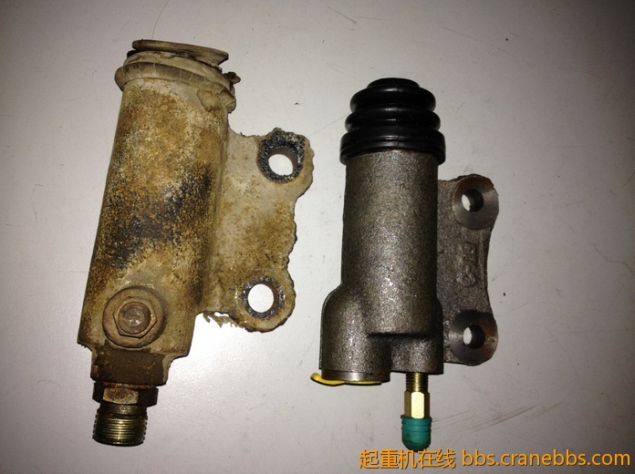 nEO_IMG_毛毛 356.jpg