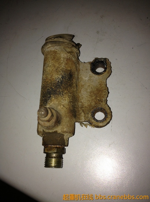 nEO_IMG_毛毛 357.jpg