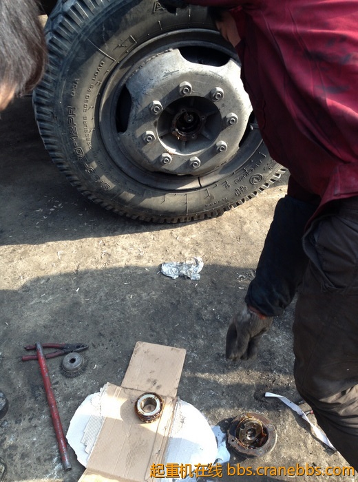 nEO_IMG_毛毛 458.jpg