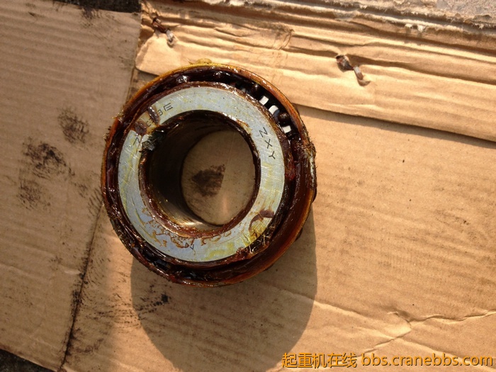 nEO_IMG_毛毛 459.jpg