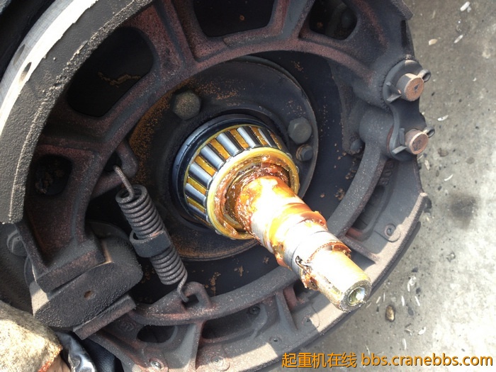 nEO_IMG_毛毛 460.jpg