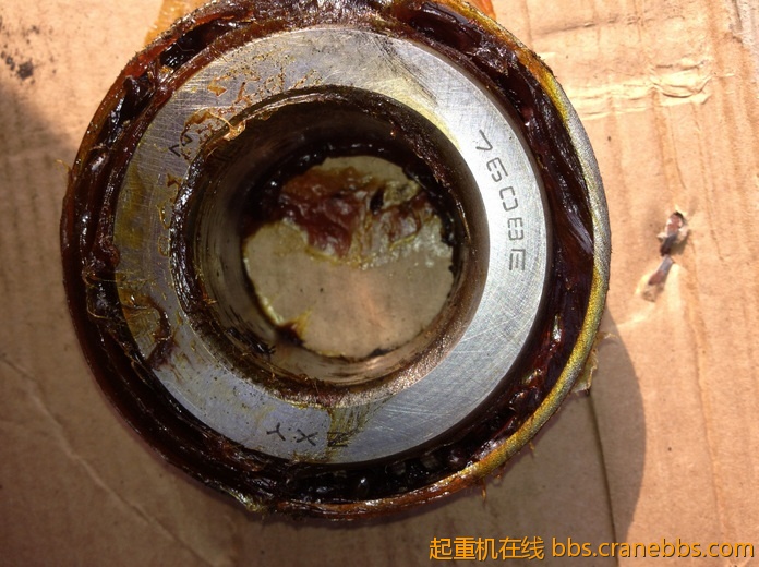 nEO_IMG_毛毛 461.jpg