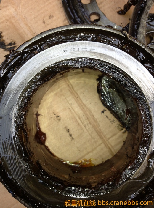 nEO_IMG_毛毛 462.jpg