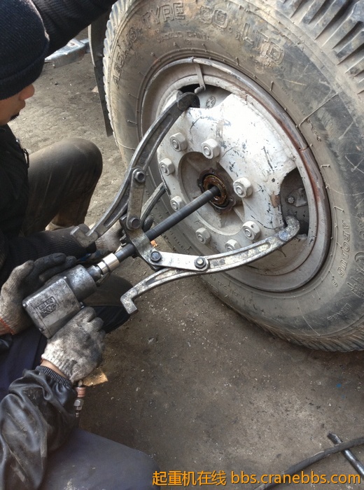 nEO_IMG_毛毛 463.jpg