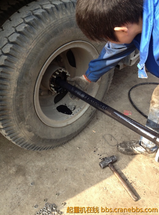 nEO_IMG_毛毛 455.jpg