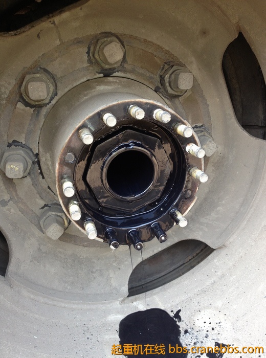 nEO_IMG_毛毛 456.jpg