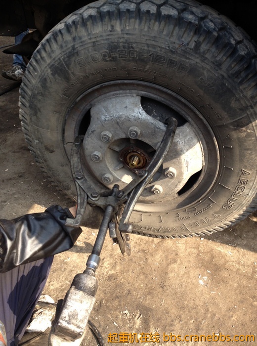 nEO_IMG_毛毛 457.jpg