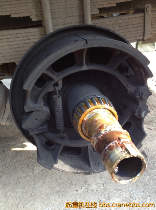 nEO_IMG_毛毛 467.jpg