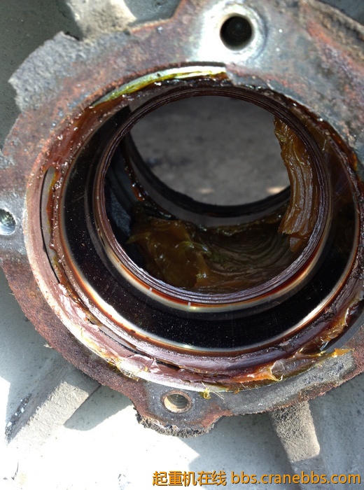 nEO_IMG_毛毛 468.jpg