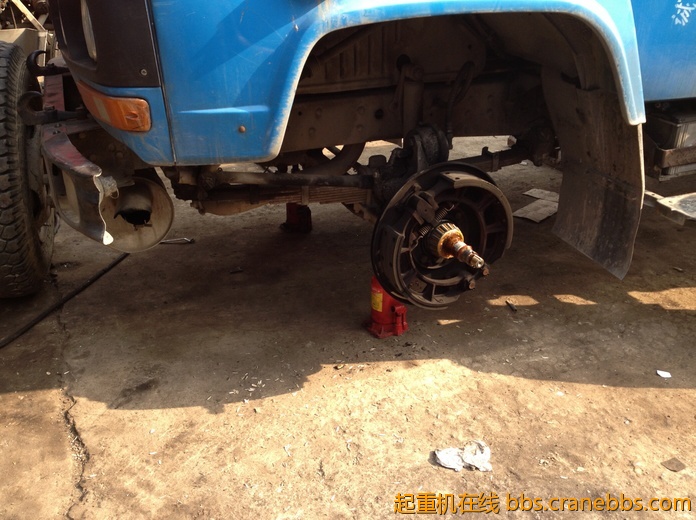 nEO_IMG_毛毛 469.jpg