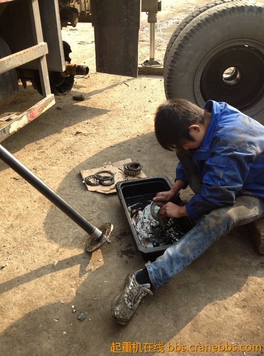 nEO_IMG_毛毛 470.jpg