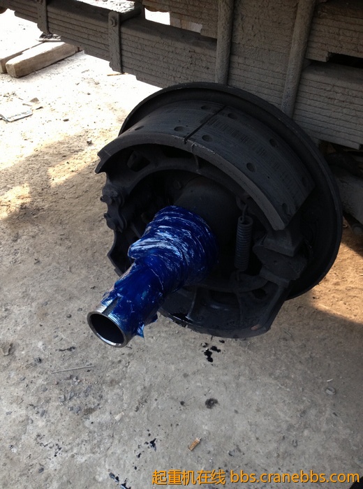 nEO_IMG_毛毛 477.jpg