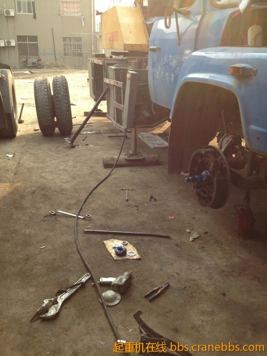 nEO_IMG_毛毛 473.jpg