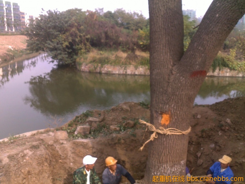 201210241793.jpg