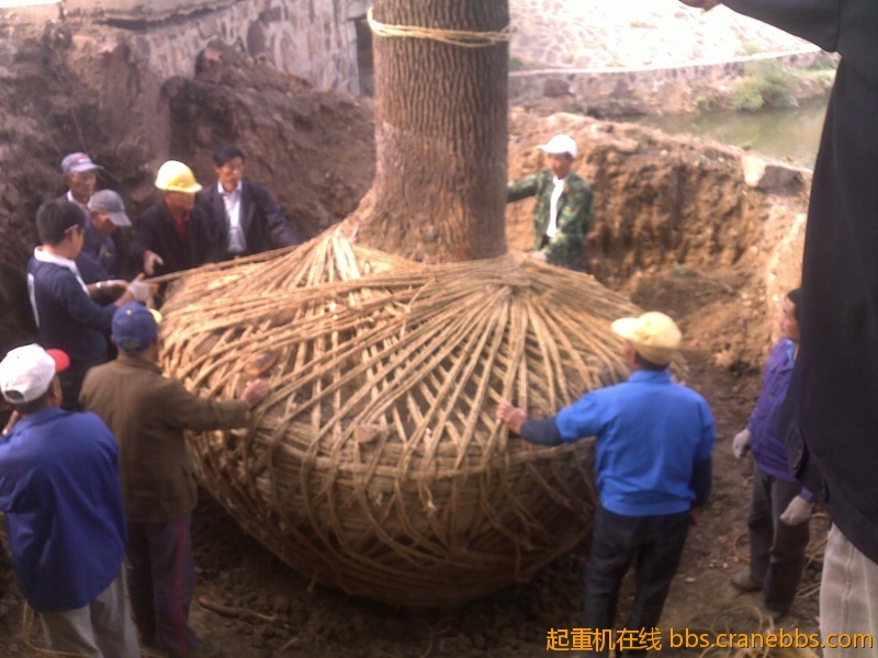 201210241795.jpg
