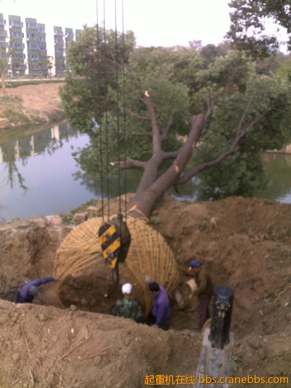 201210241796.jpg