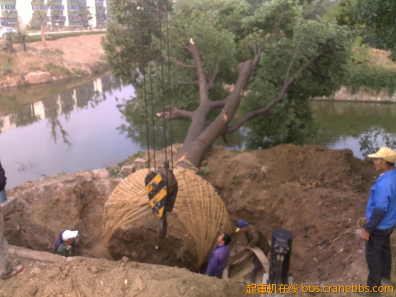 201210241797.jpg