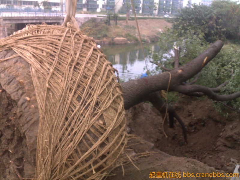 201210241798.jpg