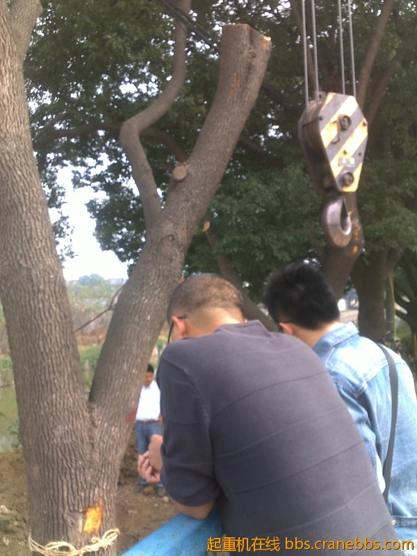 201210241789.jpg