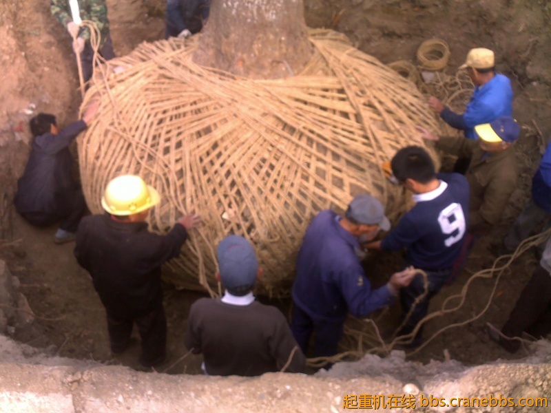 201210241791.jpg