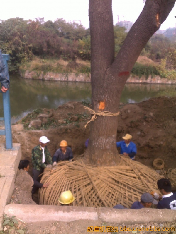 201210241792.jpg
