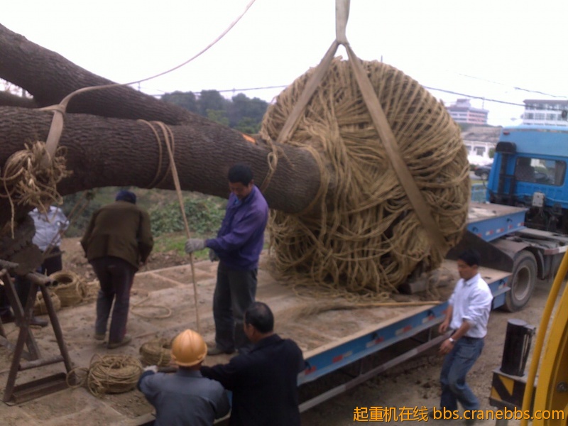 201210241799.jpg
