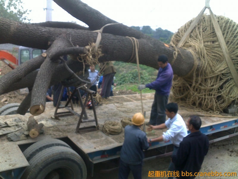 201210241800.jpg