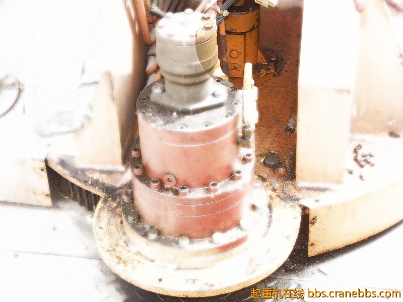 20120409a.jpg