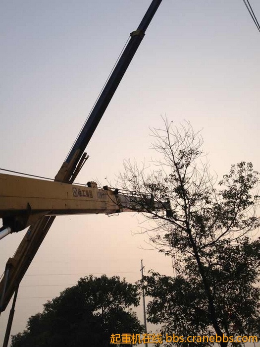 nEO_IMG_毛毛 357.jpg