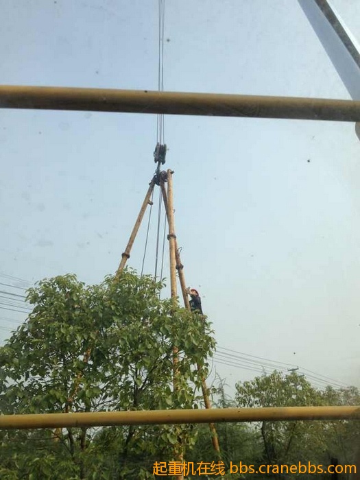 nEO_IMG_毛毛 393.jpg