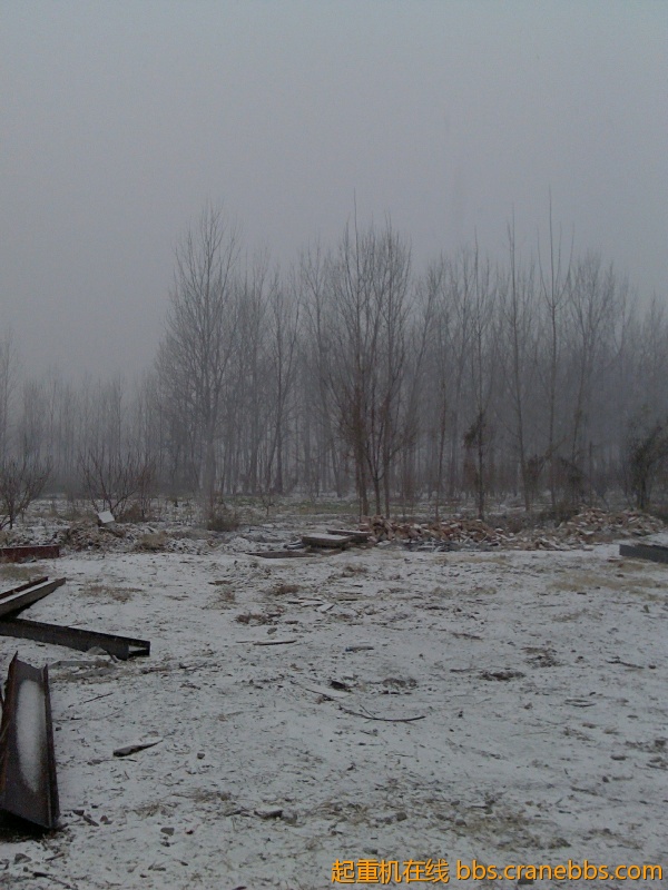 IMG_20121213_110534.jpg