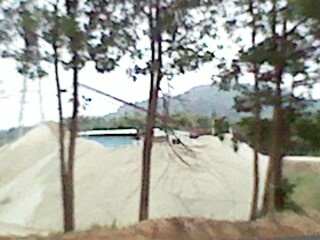 IMG_20121212_130344_0.jpg