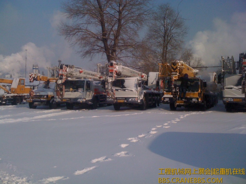 手机照片 957.jpg