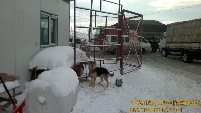 2012-12-05-8178.jpg