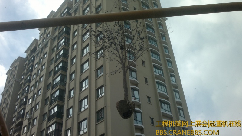 2012-10-27-7528.jpg
