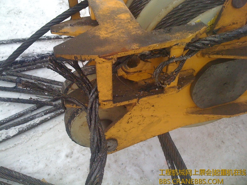 手机照片 999.jpg