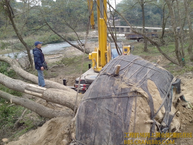 IMG20121208001.jpg